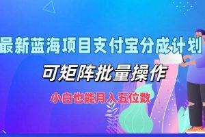 （12515期）最新蓝海项目支付宝分成计划，可矩阵批量操作，小白也能月入五位数