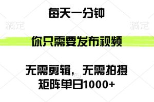 （12538期）矩阵单日1000+，你只需要发布视频，用时一分钟，无需剪辑，无需拍摄