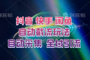 快手、抖音、闲鱼自动截流玩法，利用一个软件自动采集、评论、点赞、私信，全域引流