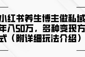 （12619期）小红书养生博主做私域年入50万，多种变现方式（附详细玩法介绍）