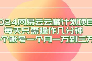 （12675期）2024网易云梯计划项目，每天只需操作几分钟 一个账号一个月一万到三万