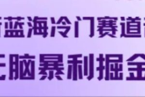 最新蓝海冷门赛道音频，无脑暴利掘金