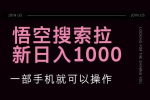 （12717期）悟空搜索类拉新 蓝海项目 一部手机就可以操作 教程非常详细