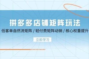 （12720期）拼多多店铺矩阵玩法：低客单自然流矩阵 / 轻付费矩阵 动销 / 核心权重提升