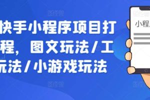 抖音快手小程序项目打造课程，图文玩法/工具玩法/小游戏玩法