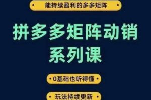 拼多多矩阵动销系列课，能持续盈利的多多矩阵，0基础也听得懂，玩法持续更新