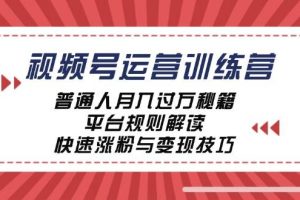 视频号运营训练营：普通人月入过万秘籍，平台规则解读，快速涨粉与变现