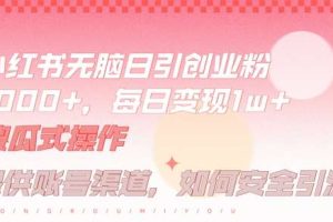 小红书无脑每日引流创业粉500+，小白每天只花半小时，躺赚长尾收益【揭秘】