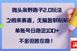 （12763期）微头条野路子2.0玩法之相亲赛道，无脑复制粘贴，单账号日稳定100+，不…