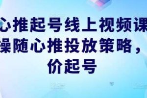 随心推起号线上视频课，实操随心推投放策略，正价起号