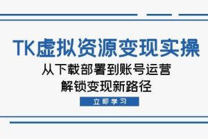 （12770期）TK虚拟资料变现实操：从下载部署到账号运营，解锁变现新路径