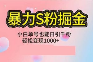 （12778期）单人单机日引千粉，变现1000+，S粉流量掘金计划攻略