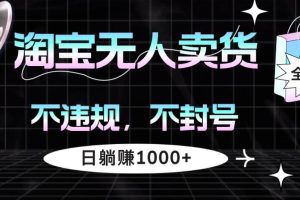 （12780期）淘宝无人卖货4，不违规不封号，简单无脑，日躺赚1000+