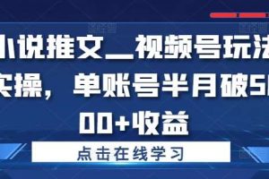 小说推文—视频号玩法实操，单账号半月破5000+收益