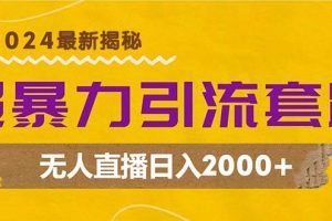 （12800期）超暴力引流套路，无人直播日入2000+