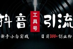 2024最新抖音工具号引流玩法，高效日引300+创业粉，当天变现5k，小白也可成为实战高手