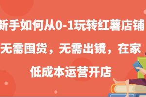 新手如何从0-1玩转红薯店铺，无需囤货，无需出镜，在家低成本运营开店