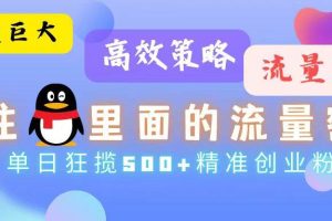 （13068期）流量蓝海，抓住QQ里面的流量密码！高效策略，单日狂揽500+精准创业粉
