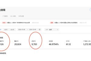（13210期）小白玩转抖音无人直播，0粉丝、0成本、0门槛，轻松日入1000+