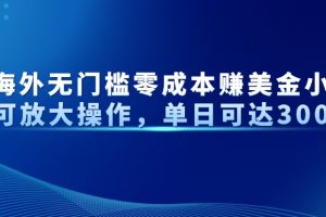 最新海外无门槛美金小众项目可放大操作，单日可达300+