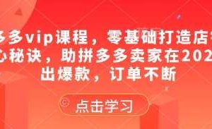 拼多多vip课程，零基础打造店铺的核心秘诀，助拼多多卖家在2025卖出爆款，订单不断