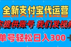 单号轻松日入300+ 全新支付宝代运营你提供账号 我们发视频
