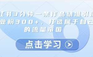 小红书3分钟一条作品精准引流创业粉300+，打造属于自己的流量帝国