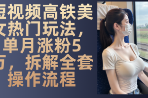最新爆款短视频，高铁美女玩法，一周涨粉5万+，各种分成引流变现，每天稳定变现1000+实战教程