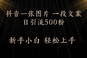 每天2分钟，抖音一张图片 一段文案日引流500粉