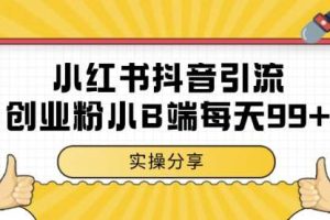 小红书抖音创业粉，小B端粉自热，日引99+的一个玩法【揭秘】