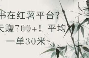 抄书在小红薯平台？平均一单30米，一天收益几张！