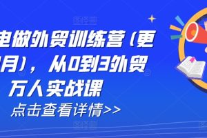 AI闪电做外贸训练营(更新25年5月)，从0到3外贸万人实战课