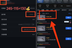 （14902期）25年CSGO游戏搬砖，全自动挂机，不需要玩游戏，手机操作日入300+。(不…