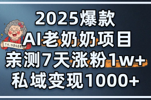 2025爆款 AI 老奶奶项目：亲测 7 天涨粉 1W+，私域变现 1000+