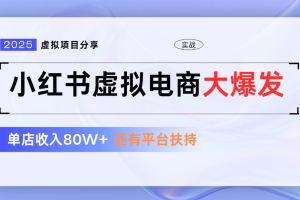 小红书虚拟电商项目，新手单店月入1W，0门槛1拖3玩法