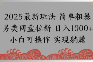 网盘拉新，冷门玩法，纯捡钱月入8000，0基础小白也能做