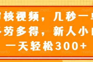 视频审核员，几秒一单，多劳多得，新人小白一天轻松300+