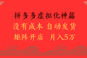 2025年最新暴力起店玩法，拼多多虚拟电商化神篇，月入5万+